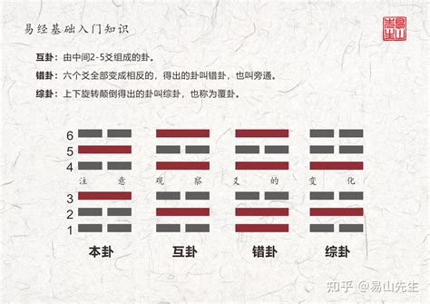 動爻|爻象全攻略：一次學會易經卦象中的所有爻位與陰陽變化